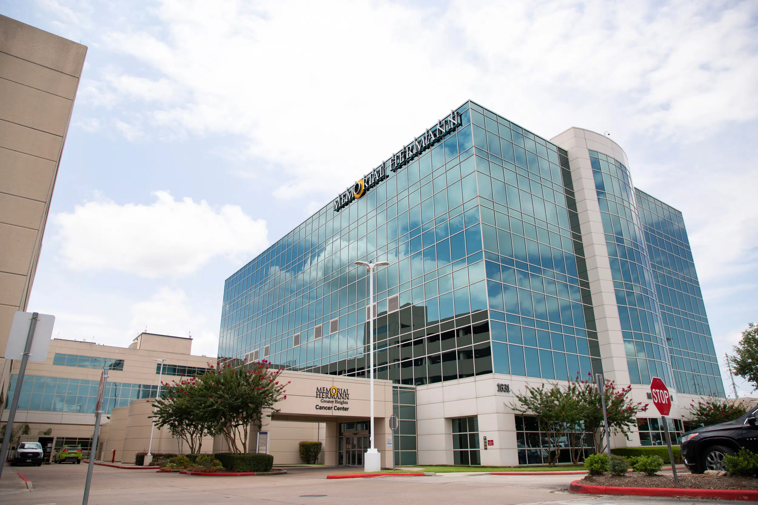 West Houston, TX artificial turf projects